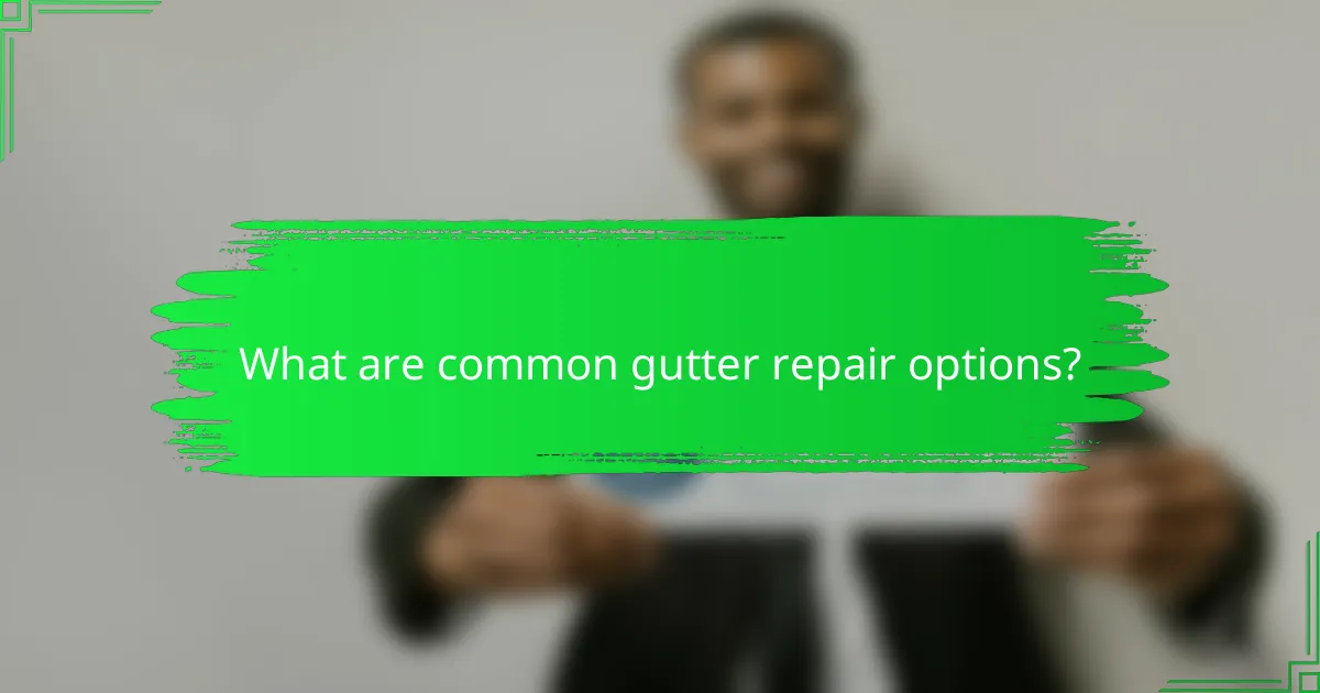 What are common gutter repair options?