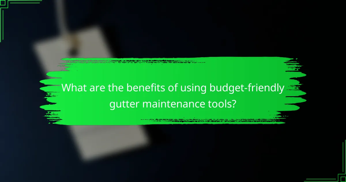What are the benefits of using budget-friendly gutter maintenance tools?