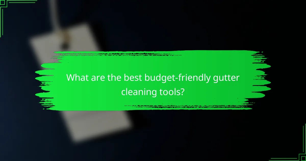 What are the best budget-friendly gutter cleaning tools?