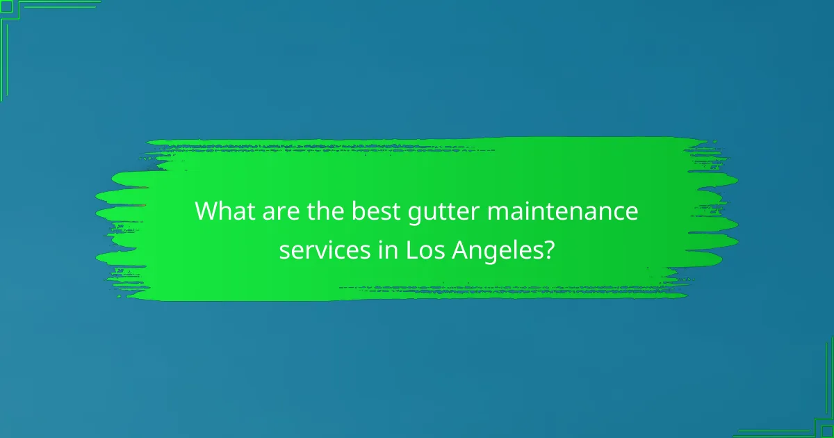 What are the best gutter maintenance services in Los Angeles?