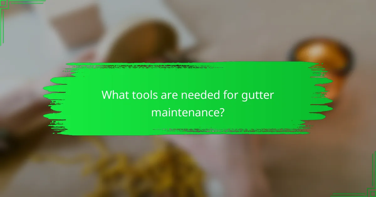 What tools are needed for gutter maintenance?